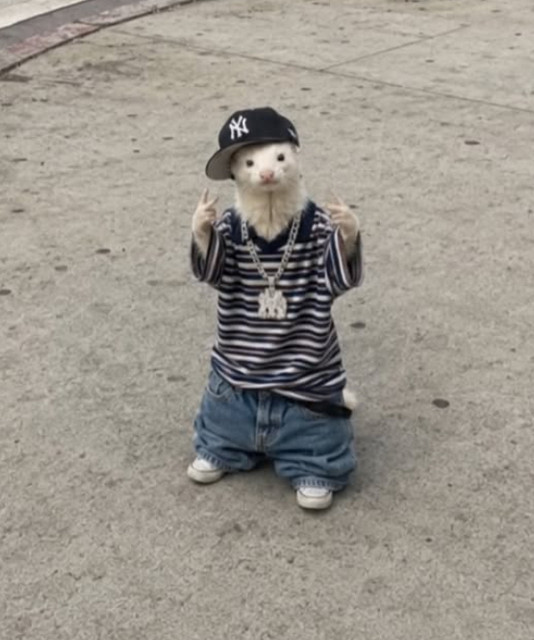 Mi Compa el Chino