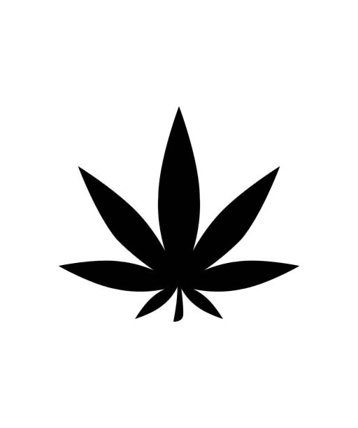 splintrrss