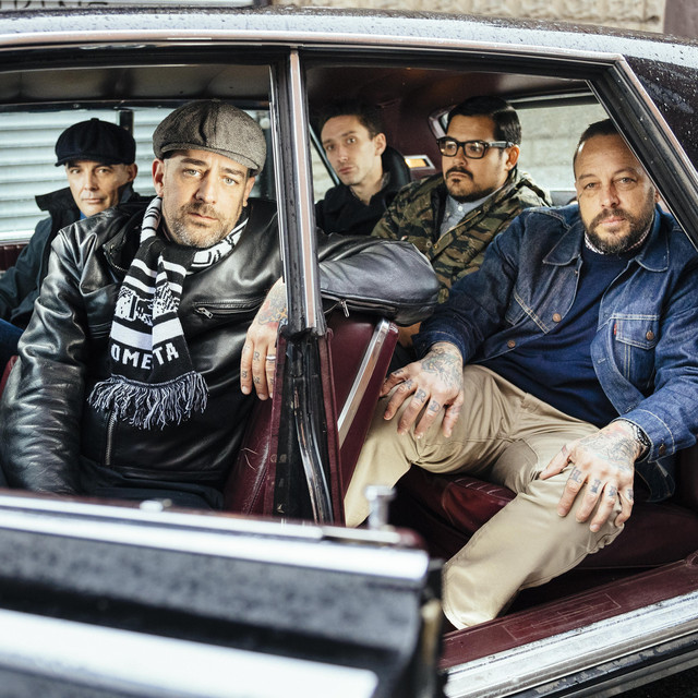 Street Dogs image