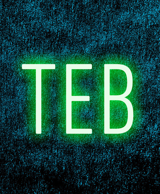 TEB | Spotify