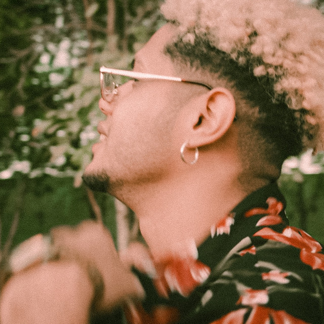 Roman Rikks | Spotify