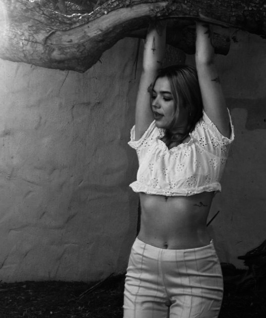 Pixie Whip
