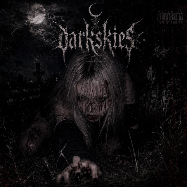 DarkSkies