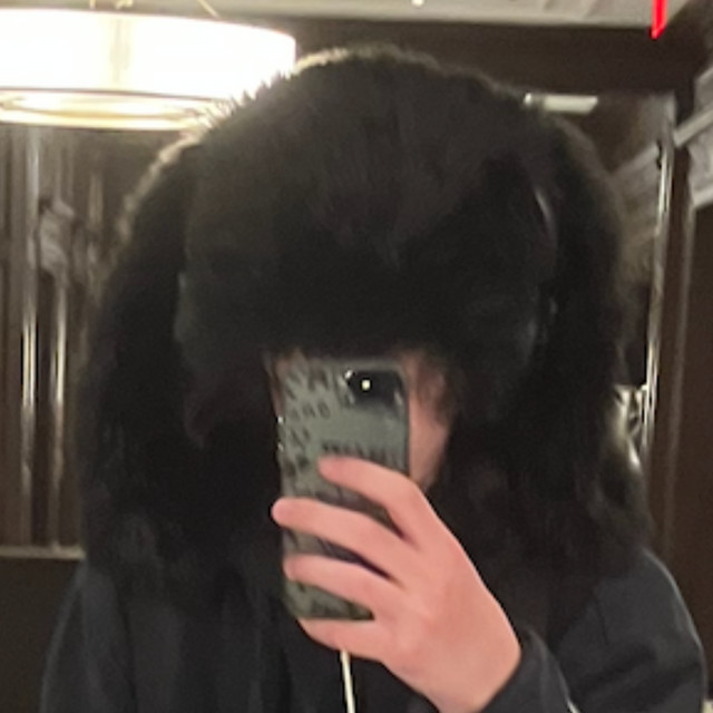 5LV