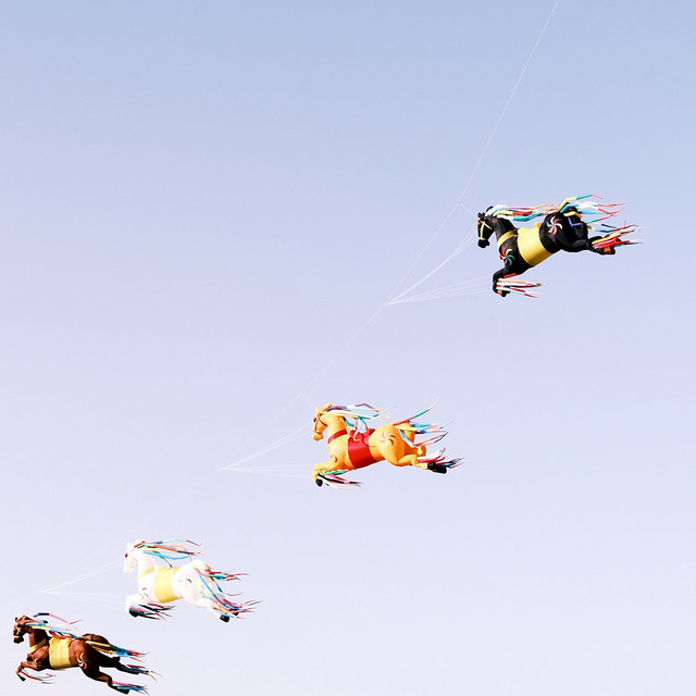 Flying Horses