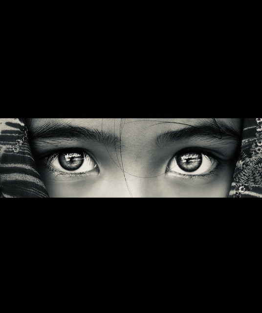 THE EYES