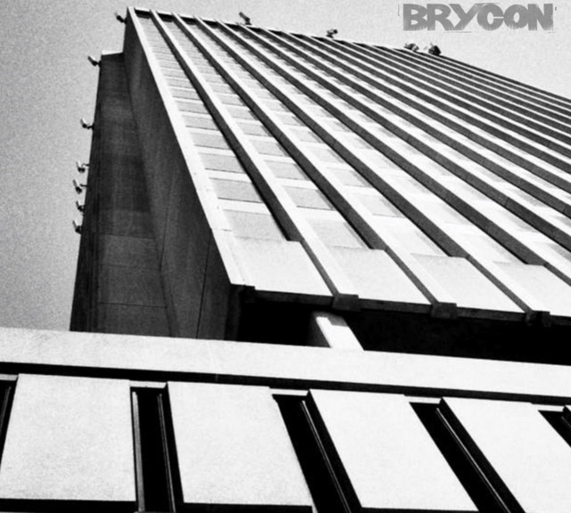 Brycon