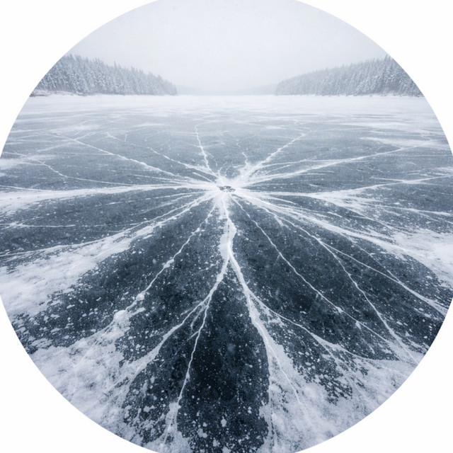 Frozen Drones