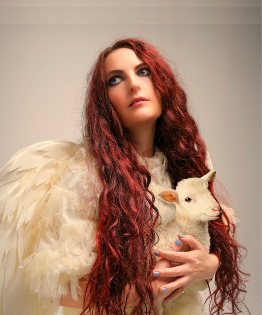 The Blackheart Orchestra photo