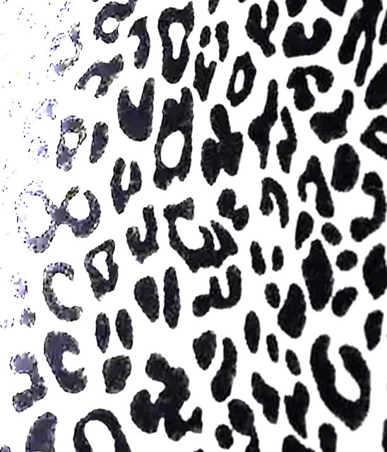 blueivory