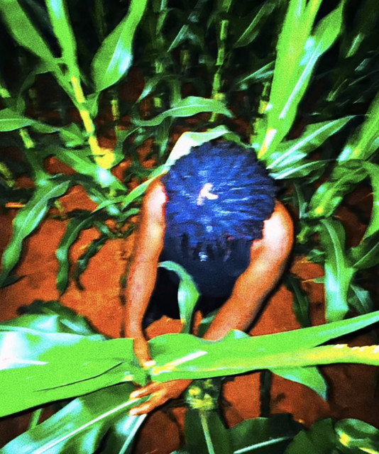 yxngkoto