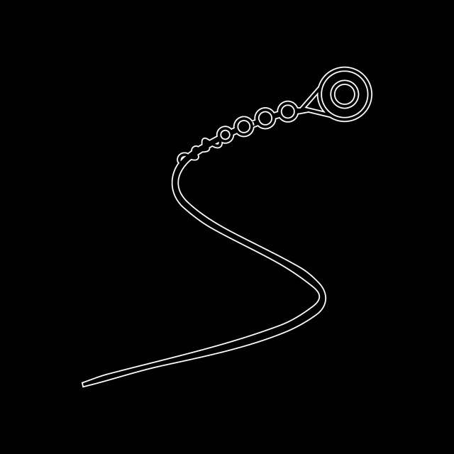 Struni