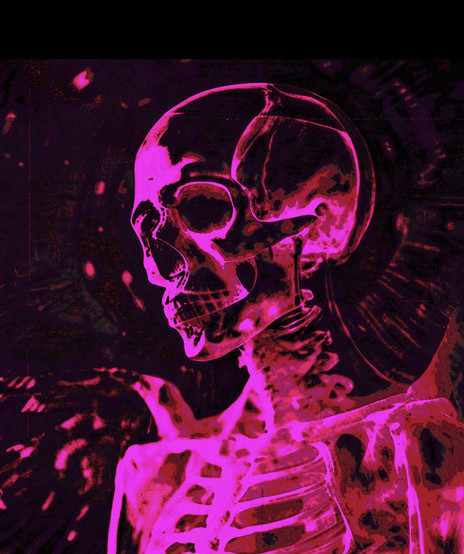 XeL--+