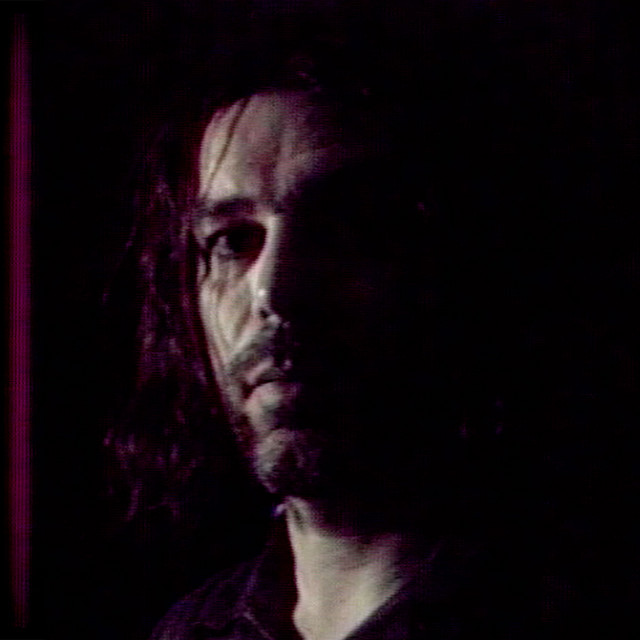 Bibio