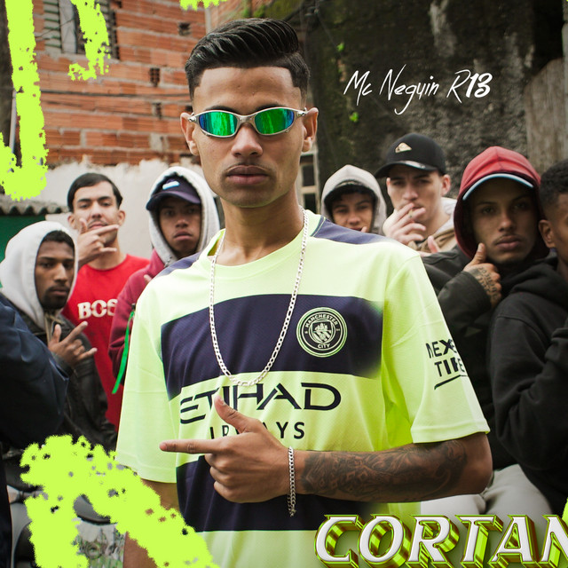 Mc Neguin R13