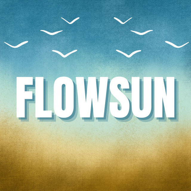 Dj FlowSun