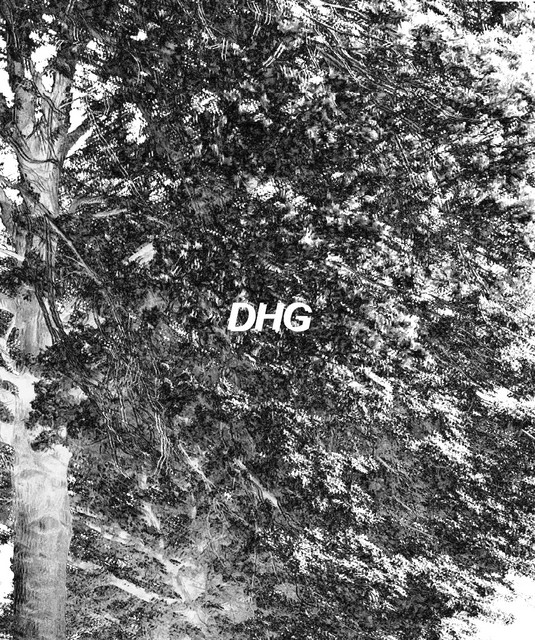 DHG | Spotify