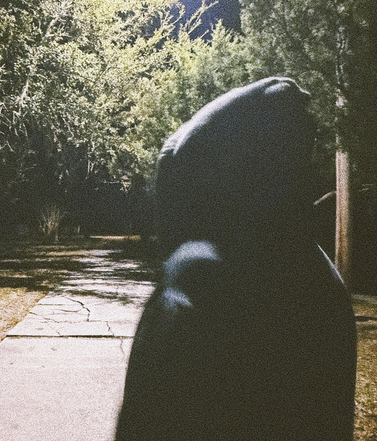 sorrow