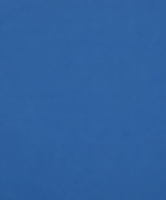 aupinard image