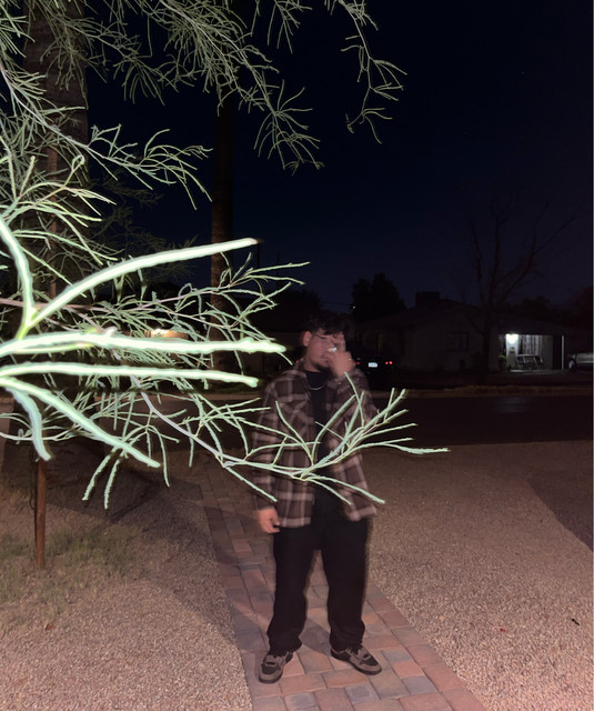 prodbyangxll