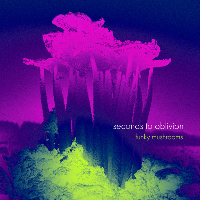 Seconds To Oblivion