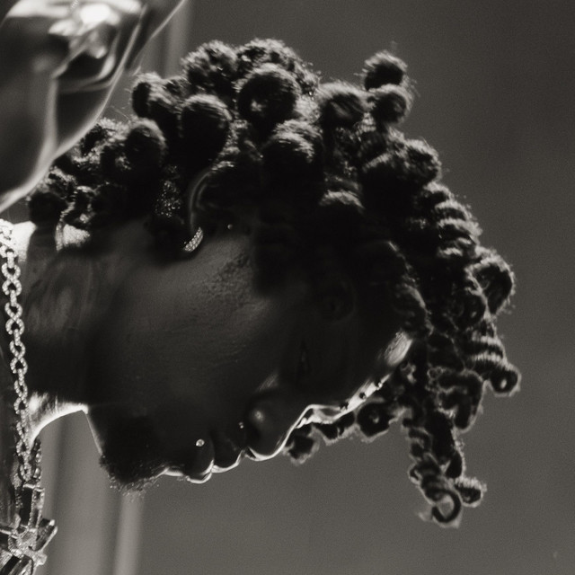 Foto do artista diamond*