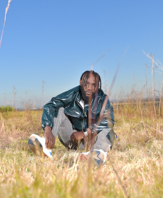 Don Steve | Spotify