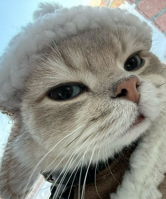 tuantucte❤️