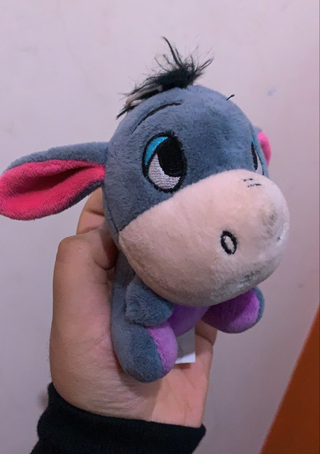 Ziaan