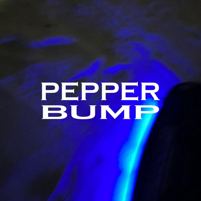 PEPPER BUMP | Spotify