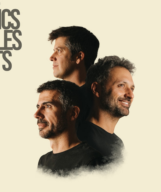 Els Amics De Les Arts image