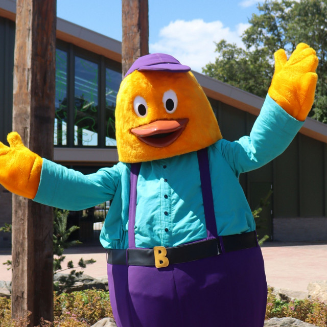BillyBird