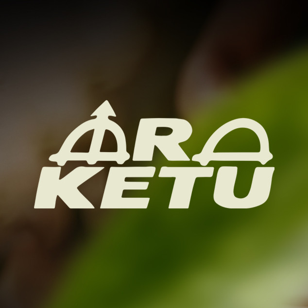 Ara Ketu
