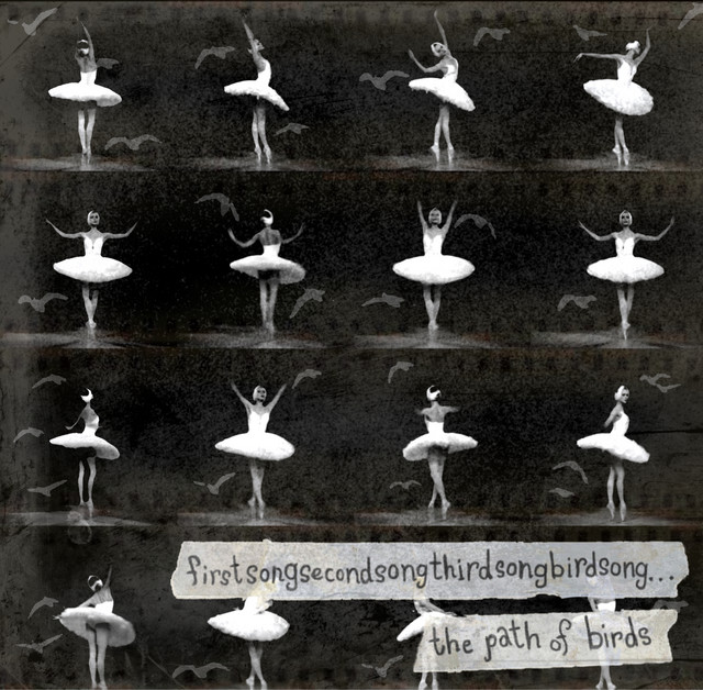 The Path Of Birds