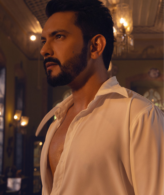 Aditya Narayan image