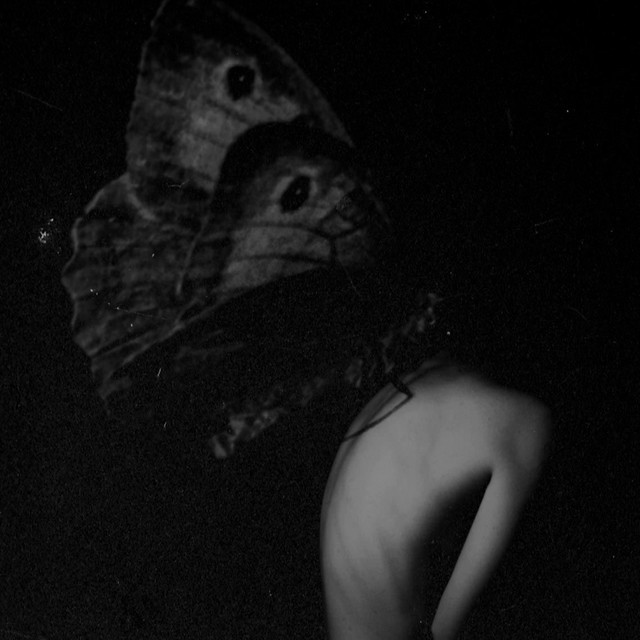 siren