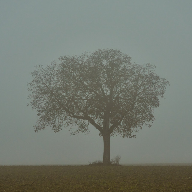 Christopher Jackson image