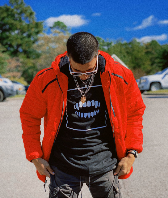 Palmer | Spotify