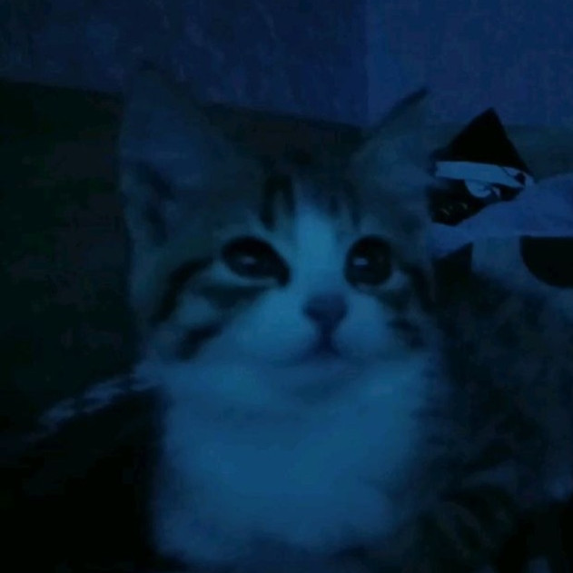 sayo.
