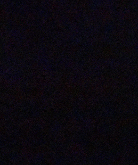 nifty boi