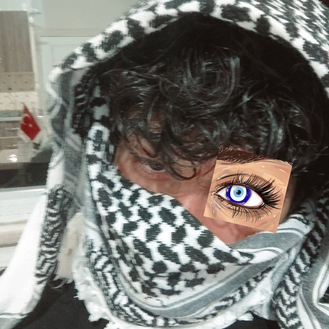 Shreed