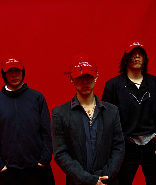 Snake Chicken Soup image