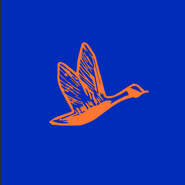 Wild Goose Ireland