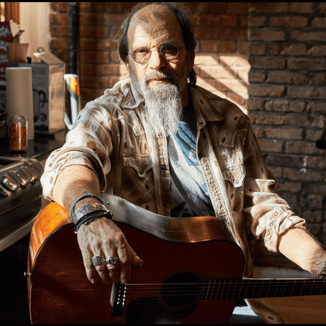 Steve Earle image