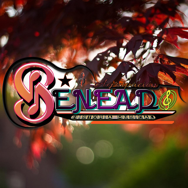 Seneado