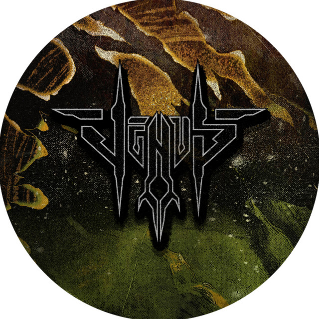 VENUS | Spotify