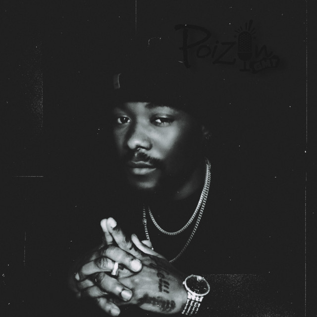 PoiZyn | Spotify
