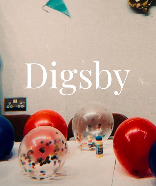 Digsby Image