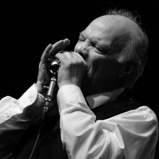 Curtis Salgado image