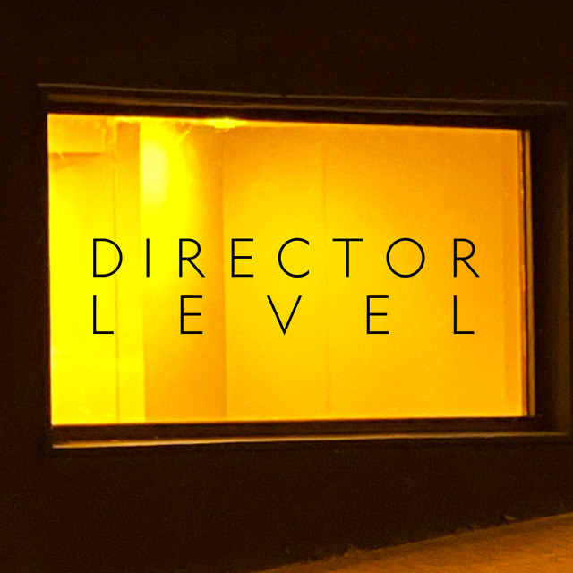 DIRECTOR LEVEL